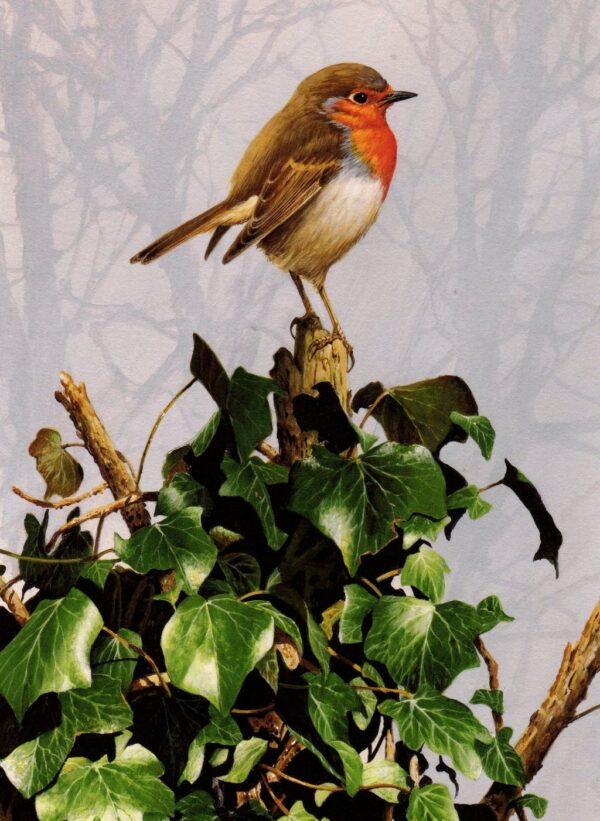 "The Robin & The Ivy" by Terance James Bond