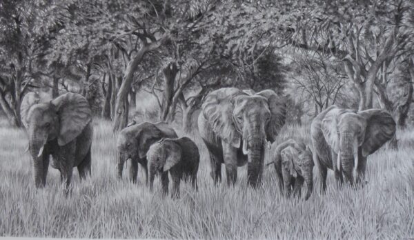 Elephant Family by Marie Brown