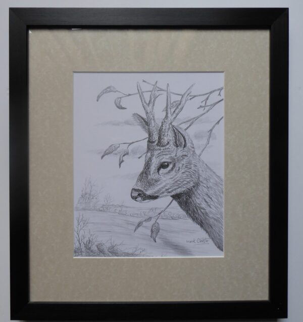 Deer Study by Mark Chester