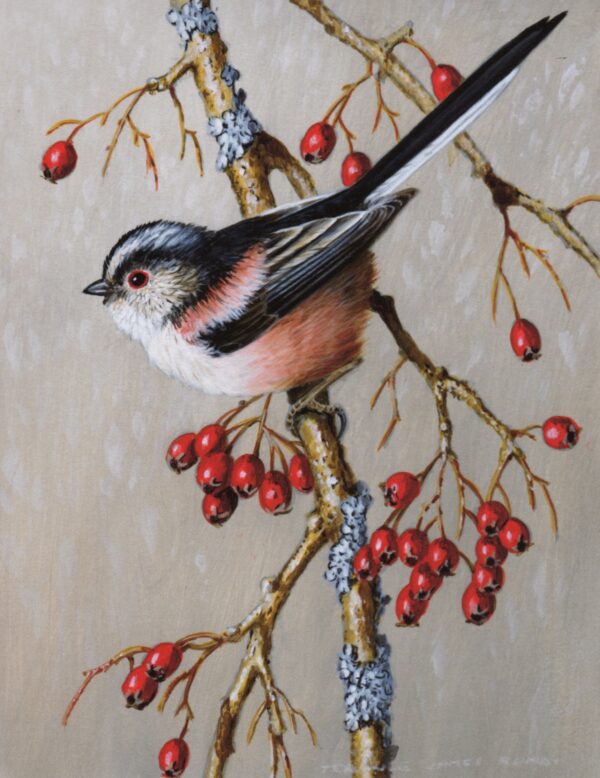 "Long-tailed Tit" by Terance James Bond