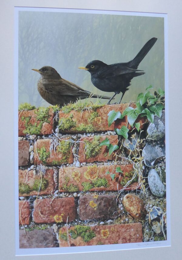 "Blackbirds" by Terance James Bond Artist's Proof Copy