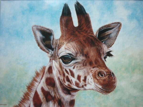 "Giraffe Study" by Christopher Bacon