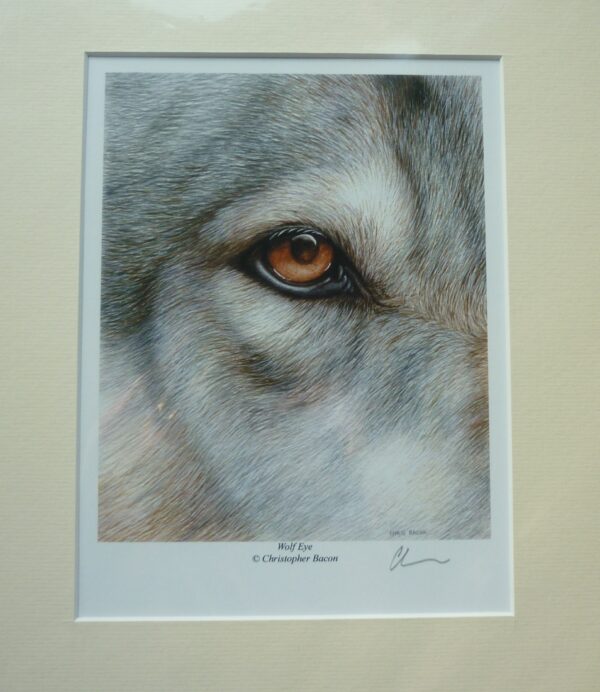 "Wolf Eyes" by Christopher Bacon