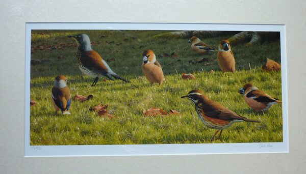 " Hawfinches and Winter Thrushes" by Chris Rose