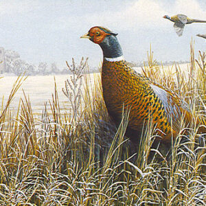 Pheasant in a Winter Landscape