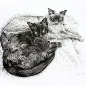 Saff and Cass by Maria Brown - Your Cat?