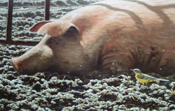 Pig and Wagtail