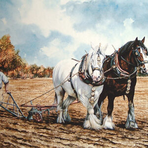 Autumn Ploughing