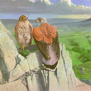 Kestrels Crag