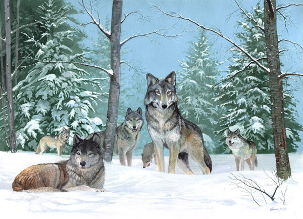 The Pack by Kenneth Smith