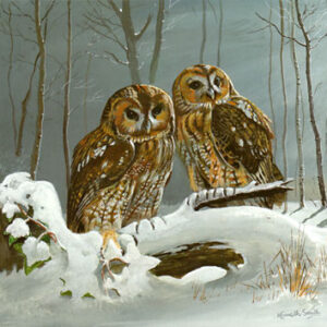 Tawny Twosome by Kenneth Smith