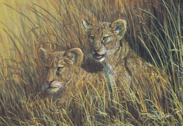 Lion Cubs by Mark Chester