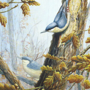 Nuthatches by Mark Chester