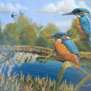 Summer Kingfishers by Mark Chester