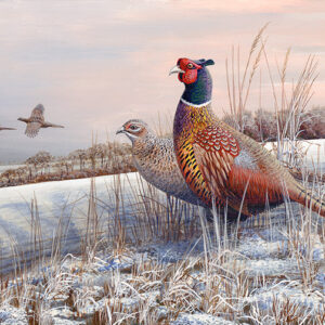 Pheasants Over Shingle Hill by Mark Chester